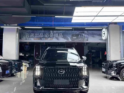 2022 GAC Trumpchi Trumpchi GS8 Pilot Series 2.0TGDI AWD Ultimate Edition (7-Seater), фото 4, лот 10418703