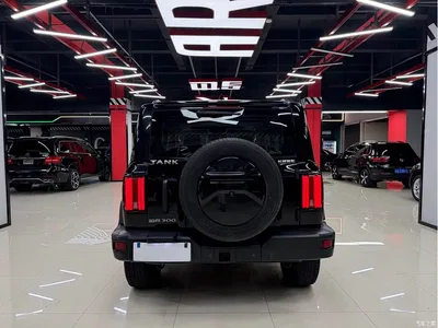 2023 Tank 300 Off-Road Edition 2.0T Challenger, фото 4, лот 10345094