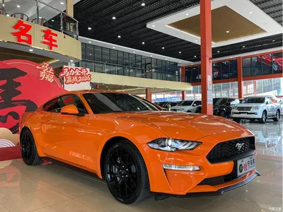 2021 Ford Mustang 2.3T EcoBoost, фото 3, лот 10279425
