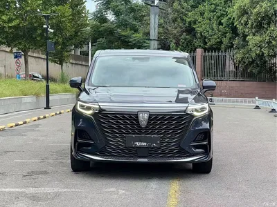 2021 Roewe iMAX8 400TGI Supreme Series Honor, фото 2, лот 10342694