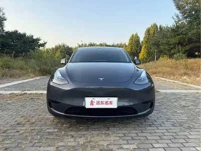 2022 Tesla Model Y Facelift Rear-Wheel Drive Version, фото 2, лот 10955245