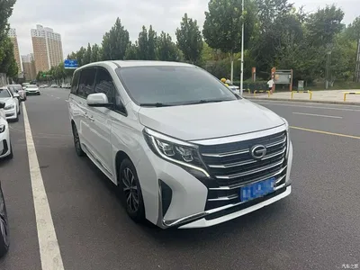 2024 GAC Trumpchi Trumpchi M8 Leadershow Series 390T Premium Edition, фото 3, лот 10417247