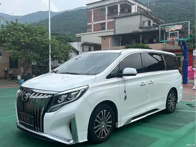 2021 GAC Trumpchi Trumpchi M8 Master Series 390T Ultimate Edition, фото 1, лот 11550930