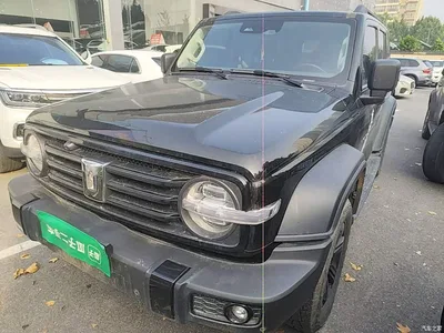 2024 Tank 300 Model 2.0T Challenger, фото 2, лот 11068144