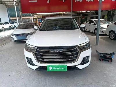 2021 Haval H6 National Trend Edition 1.5GDIT Automatic Champion Edition, фото 3, лот 10302498