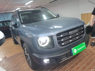 2021 Haval Big Dog 1.5T DCT 2WD Labrador Edition, фото 4, лот 10361243