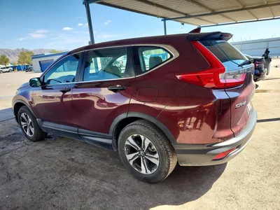 2019 HONDA CR-V LX, фото 2, лот 10722810