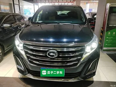 2020 GAC Trumpchi Trumpchi M8 Pilot 390T Premium Edition, фото 3, лот 10422819