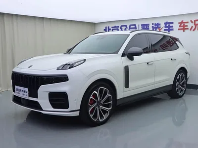 2021 Lynk & Co 09 2.0T Halo 6-Seater, фото 1, лот 10313173