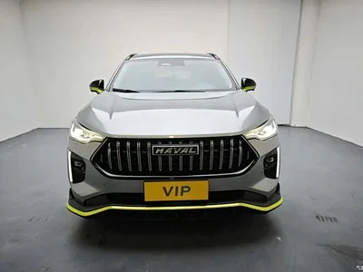 2021 Haval Chitu Turbo Edition 1.5T Golden Rabbit, фото 2, лот 10298426