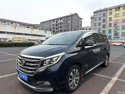 2018 GAC Trumpchi Trumpchi M8 320T Exclusive Edition, фото 1, лот 11133772