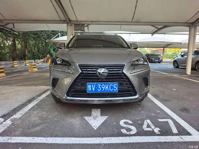 2020 Lexus NX 200 AWD F Sport China VI, фото 2, лот 10317996