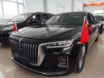 2020 Hongqi H9 2.0T Smart Connection Qi Chang Edition, фото 2, лот 10289960