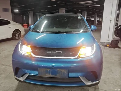 2021 BYD Dolphin Model 405km Fashion Edition, фото 3, лот 10263975