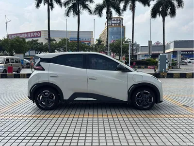 2023 BYD Seagull Freedom Edition, фото 4, лот 11179218