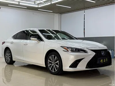 2018 Lexus ES 300h Excellence Edition China V, фото 3, лот 10318434