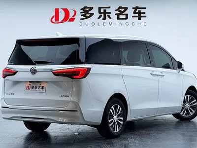 2021 Buick GL8 ES Landlord 653T Premium, фото 4, лот 10256440