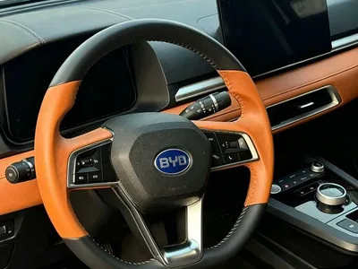 2021 BYD e2 Luxury Edition, фото 4, лот 11502078