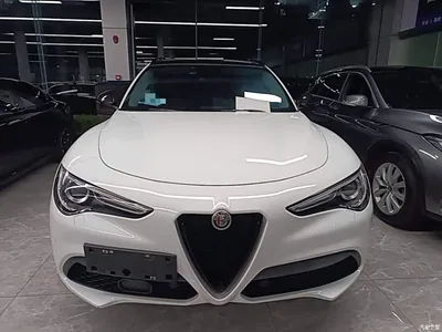 2020 Alfa Romeo Stelvio 2.0T 280HP Luxury Edition, фото 3, лот 10841862
