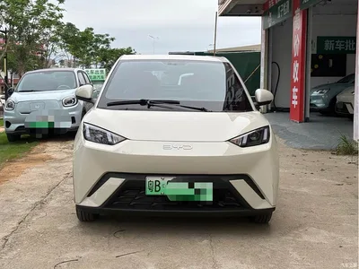 2024 BYD Seagull Glory Edition 305km Vitality Edition, фото 2, лот 10257690