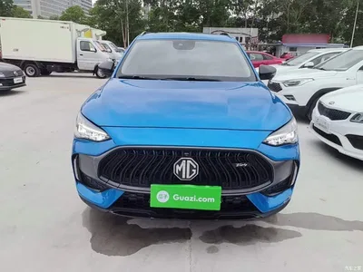 2021 MG Pilot 300TGI Auto 2WD Trophy Intelligent Premium Edition, фото 3, лот 10766098