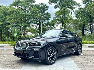 2021 BMW X6 xDrive40i M Sport Package, фото 1, лот 10469158