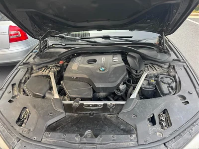 2020 BMW 5 Series 525Li Luxury Package, фото 3, лот 10450275