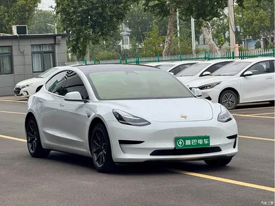 2019 Tesla Model 3 Standard Range Rear-Wheel Drive Upgrade, фото 3, лот 10353973