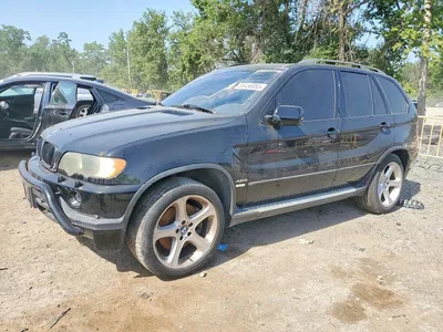 2002 BMW X5 4.6IS, фото 1, лот 10972135