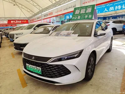 2026 Byd Qin, фото 3, лот 10243709