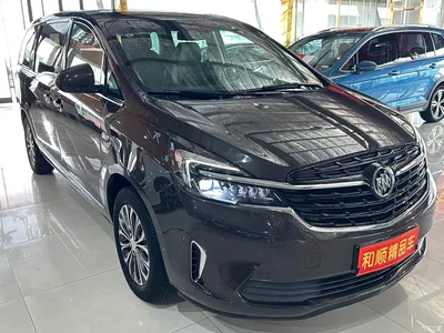 2021 Buick GL8 Land Business Class 652T Luxury, фото 3, лот 11397176