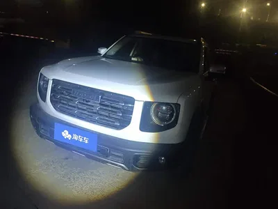 2022 Haval Big Dog 1.5T DCT FWD Labrador Edition, фото 1, лот 11248184
