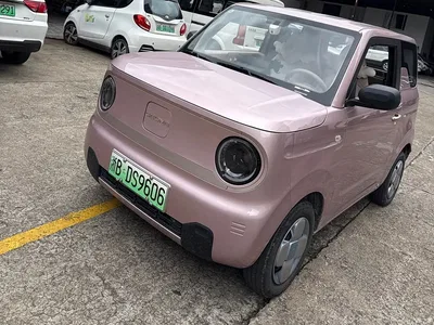 2023 Geely Galaxy Panda Mini 200km Lively Bear, фото 1, лот 11485651