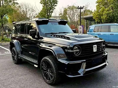 2023 Tank 300 Urban Edition 2.0T Very Stylish, фото 3, лот 10344926