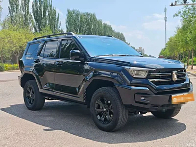 2024 Tank 400 New Energy Hi4-T Off-Road Edition, фото 3, лот 10345016