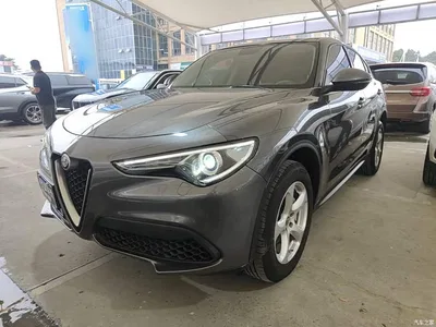 2017 Alfa Romeo Stelvio 2.0T 200HP Elite, фото 1, лот 10898556