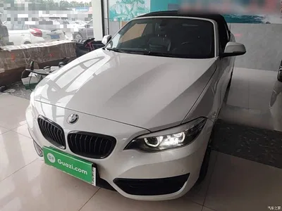 2019 BMW 2 Series (Import) 225i Convertible Coupe Sport Design Package, фото 1, лот 10471468