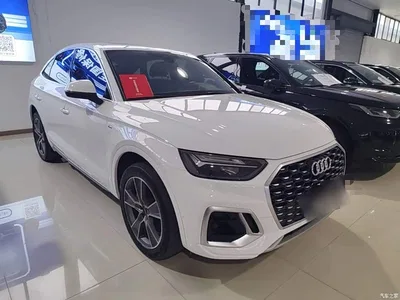 2022 Audi Q5L Sportback 40 TFSI Luxury, фото 4, лот 10473100