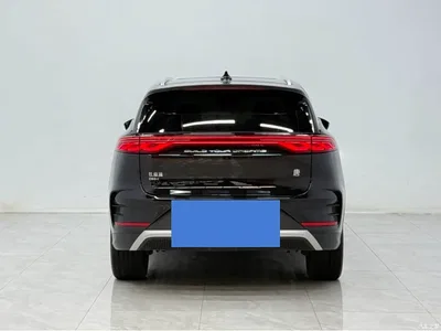 2024 BYD Tang New Energy DM-i Glory Edition 112KM Deluxe, фото 3, лот 10394572