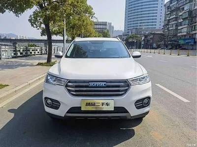2017 Haval H6 Blue Label 2.0T Automatic 2WD Trend, фото 2, лот 10282769