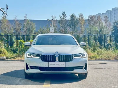 2021 BMW 5 Series 525Li Luxury Package, фото 2, лот 11565924