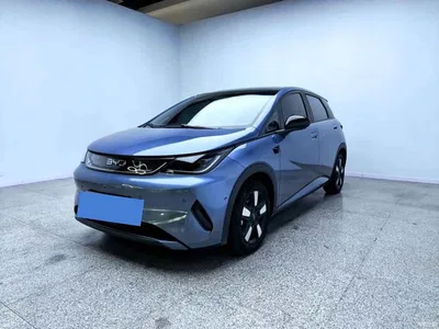 2025 BYD Dolphin Smart Drive Edition 410km Fashion Version, фото 1, лот 11087267