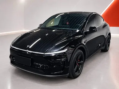 2025 Tesla Model Y Rear-Wheel Drive, фото 1, лот 10448600