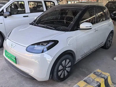 2024 Wuling Motors Wuling Bingo 333km Comfort Edition, фото 2, лот 11012676