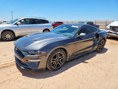 2019 FORD MUSTANG, фото 1, лот 10553435