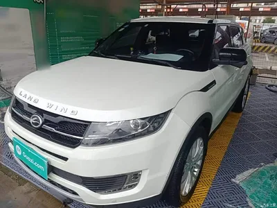 2015 Landwind X7 2.0T Panorama Premium, фото 1, лот 10444794