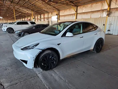 2021 TESLA MODEL Y, фото 1, лот 10857107
