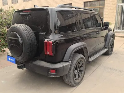 2023 Tank 300 Off-Road Edition 2.0T Conqueror, фото 3, лот 10837458