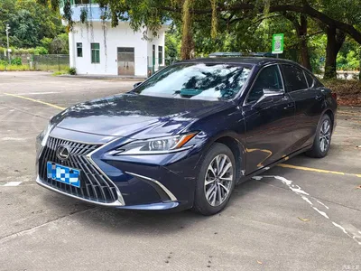 2024 Lexus ES 200 Premium Edition, фото 1, лот 10318774