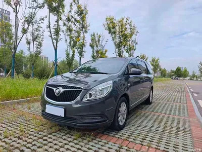 2018 Buick GL8 28T Luxury Model China VI, фото 1, лот 11178292